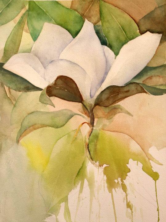 Magnolia